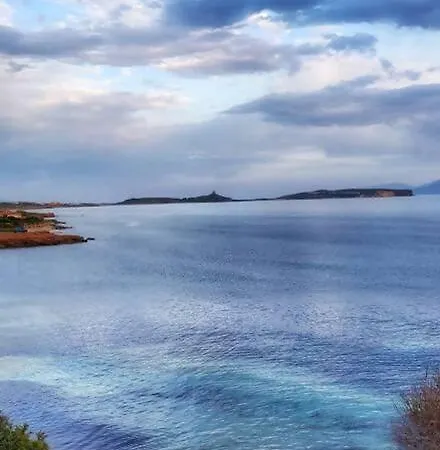 - Marina Breeze 50mt From Sea